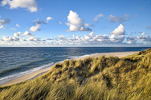 沙丘,海岸,德国,俯视图