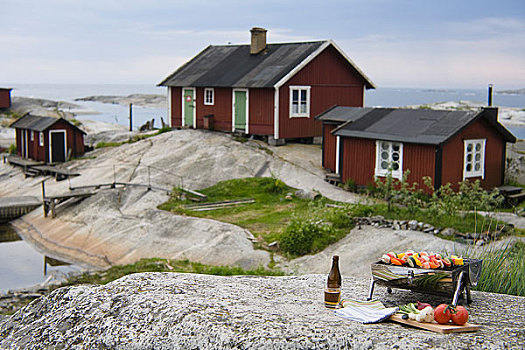 烧烤架,蔬菜,岩石上,房子,背景
