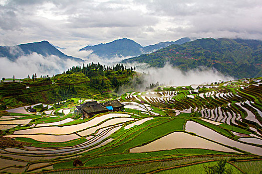 加榜梯田