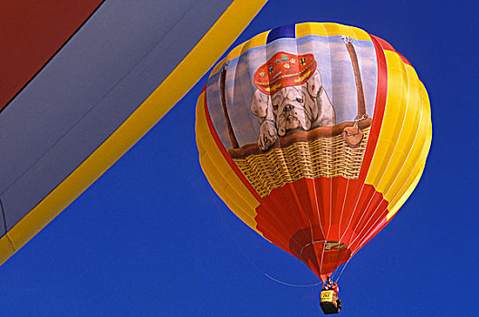热气球,上升,阿布奎基,新墨西哥