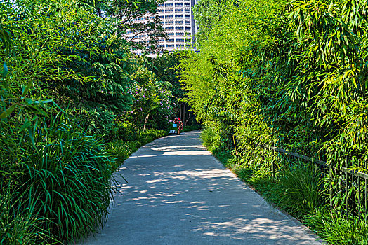 夏日的泉城公园