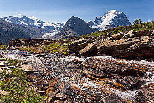 冰川,正面,罗布森山,罗布森山省立公园,不列颠哥伦比亚省,省,加拿大,北美