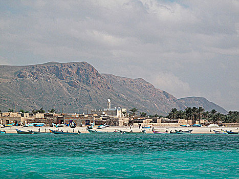 也门,索科特拉岛