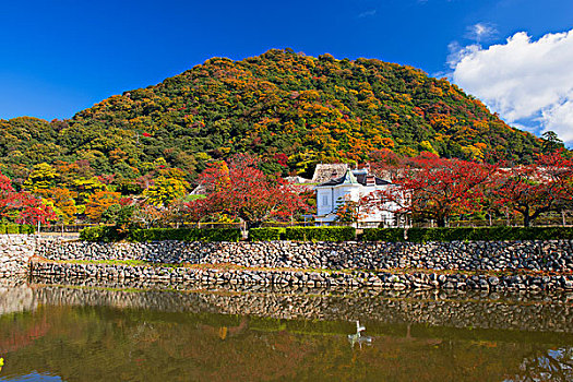 城堡,场所