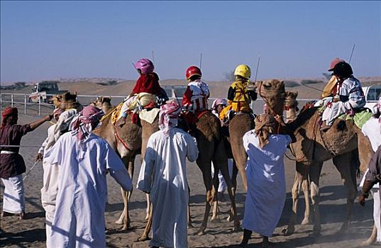 骑师,骆驼,排列,开端,比赛,赛骆驼