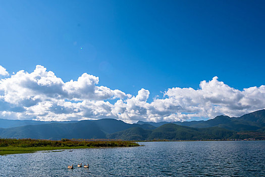 泸沽湖草海