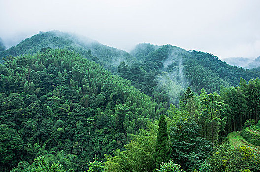 雨雾山景