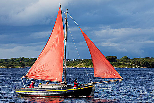 船,红色,帆,戈尔韦,渔船,比赛,金瓦拉,戈尔韦郡,爱尔兰