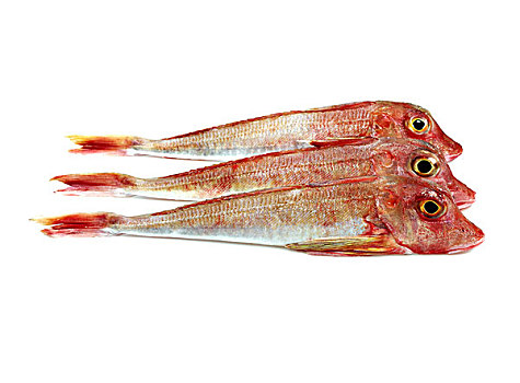 红色,鲂鱼,新鲜,鱼,白色背景