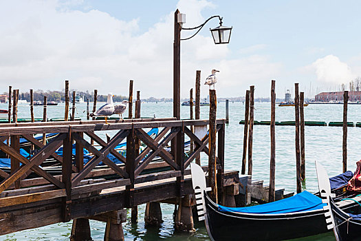 海鸥,小船,威尼斯泻湖