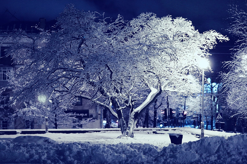 冬天晚上公园图片图片