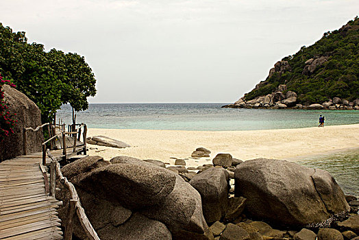 泰国,海湾,海滩,苏梅岛,岛屿