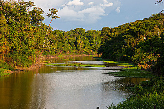 河,支流,亚马逊盆地,秘鲁