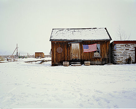 房子,美国国旗,冬天,加利福尼亚,美国