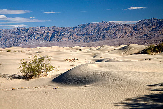 沙丘,死谷,加利福尼亚,美国,北美