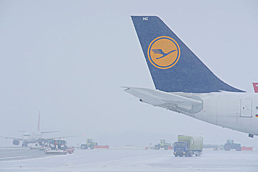 雪,冬天,扫雪机,飞机,区域,慕尼黑机场,巴伐利亚,德国,欧洲