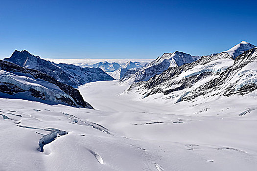冰河,雪,风景,少女峰,瓦莱州,瑞士,欧洲