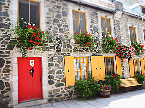 彩色,门,百叶窗,石头,建筑,魁北克城,魁北克,加拿大