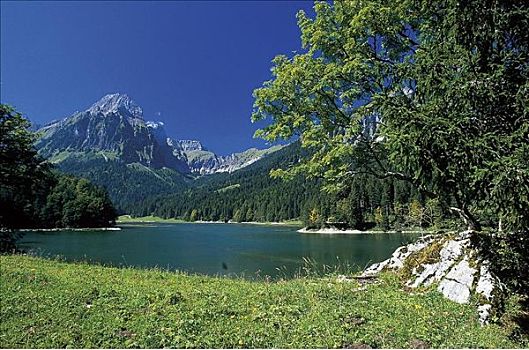 高山湖,山顶,上面,阿尔卑斯山,瑞士,欧洲