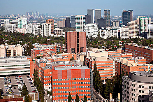 俯视,城市,市区,天际线,洛杉矶,加利福尼亚