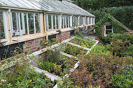 漂亮,老,维多利亚时代风格,温室,左边,遗址,英式花园