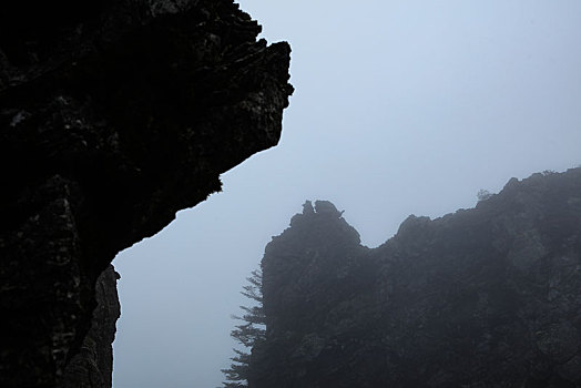 神农架,板壁岩,风景,景点,旅游,高山,神秘,树木,植被,石头,鄂西,奇石,壮观