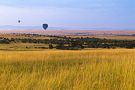 热气球,飞跃,马赛马拉国家保护区,肯尼亚