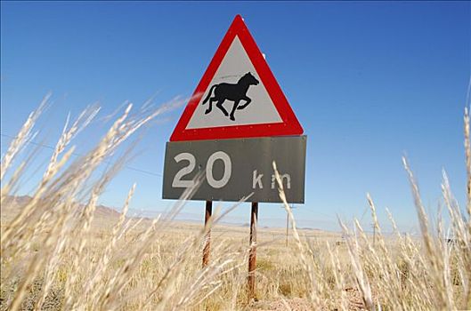 标识,警告,野马,纳米比亚,非洲