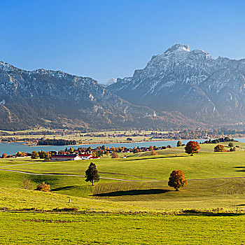 风景,上方,秋天,高山,山麓,阿尔卑斯山,上巴伐利亚,德国