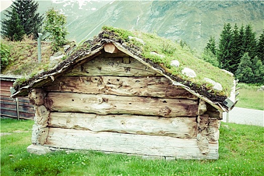 特色,挪威,房子,草,屋顶