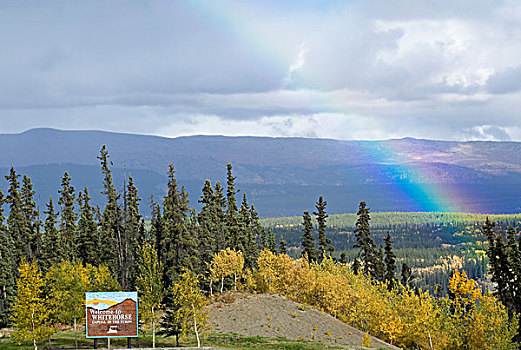 彩虹,深秋,树,秋色,标识,两个,英里,山,大写字母,育空地区,加拿大