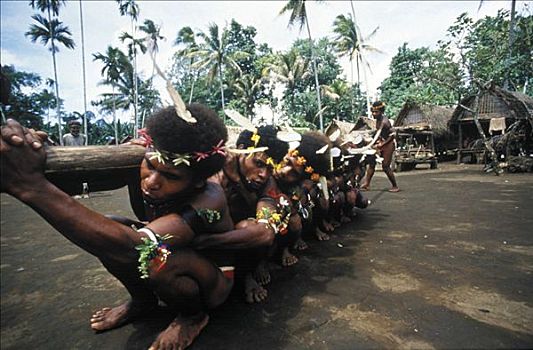 杆,跳舞,乡村,岛屿,巴布亚新几内亚