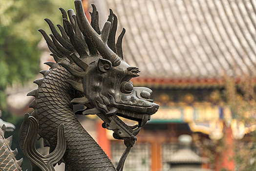 守卫,龙,雕塑,颐和园,北京,中国,亚洲
