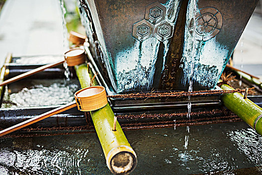 特写,竹子,水,洗,日本,神社