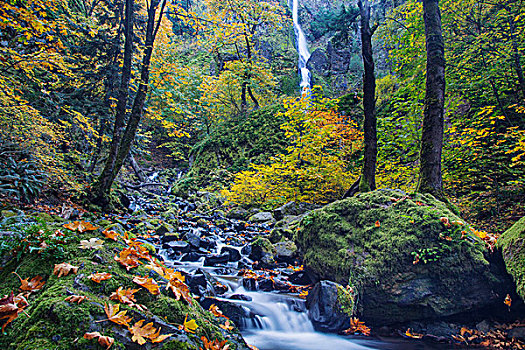 秋色,饥饿,溪流,瀑布,哥伦比亚峡谷,国家,景色,区域,俄勒冈,美国