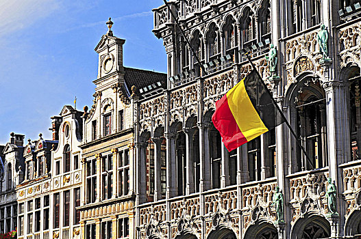 比利时,旗帜,大广场,布鲁塞尔