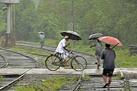 骑车,行人,重,雨,铁道口,斯里兰卡,南亚,亚洲