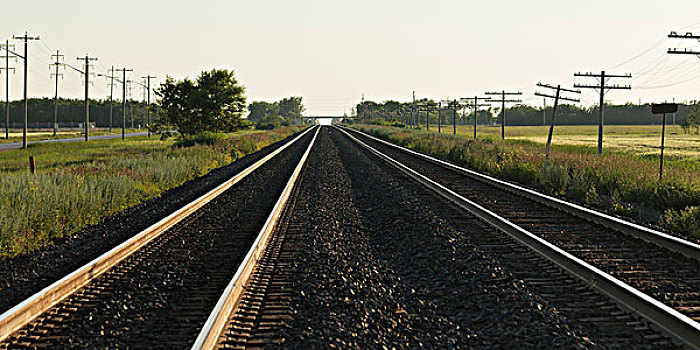 铁轨,地平线,草原,曼尼托巴,加拿大