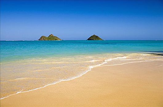 夏威夷,瓦胡岛,莫库鲁阿岛,岛屿,景色,风景,鲜明,白天