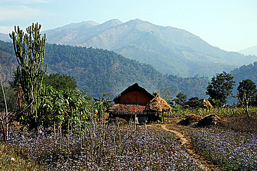 尼泊尔风情