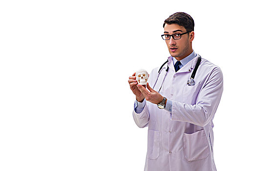 男医生,骨骼,隔绝,白色背景,男青年,博士