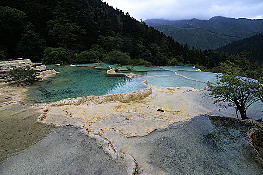 四川阿坝黄龙风光