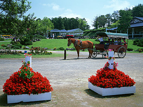 肯塔基,农场