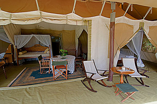 20年代,旅游,露营,马赛马拉国家保护区,肯尼亚,非洲