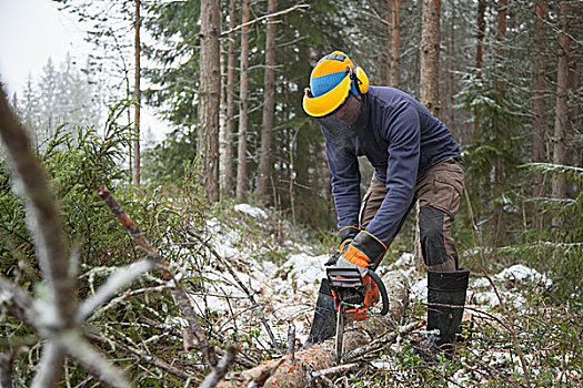 伐木工,锯,树,芬兰