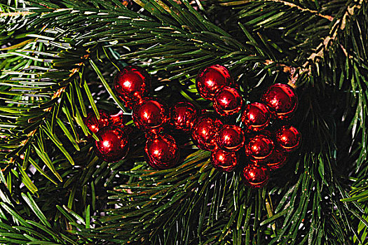 特写,红色,光泽,圣诞装饰,悬挂,树上