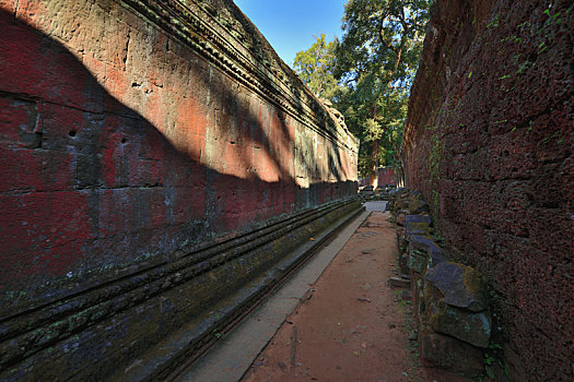 柬埔寨吴哥古城塔普伦寺城墙和古树