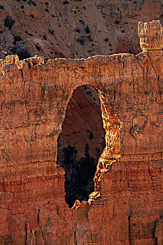 美国,犹他,布莱斯峡谷国家公园,洞,开始,天然拱,侵蚀,怪岩柱