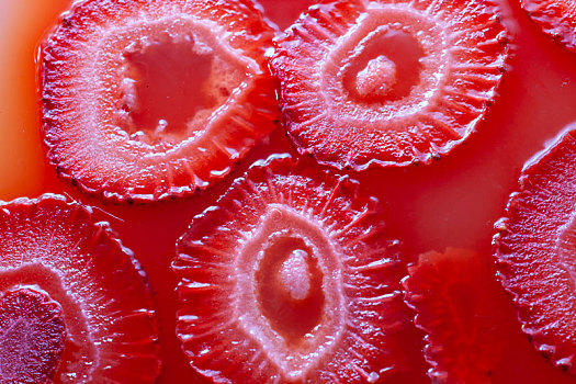 家庭制作的草莓果冻