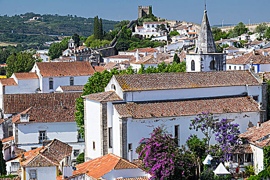 葡萄牙,奥比都斯,古老,红色,赤陶,砖瓦,屋顶,线条,老,窗户